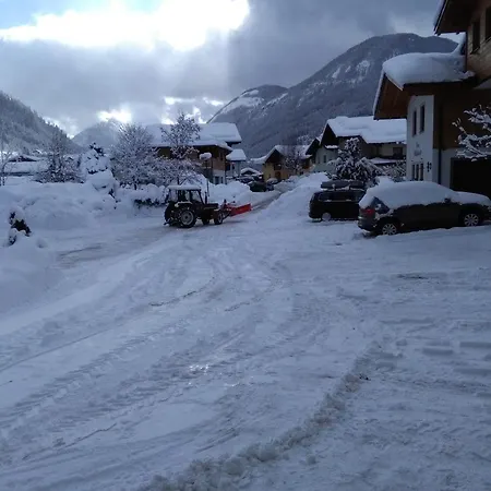 Haus Roswitha בית הארחה פלאכאו