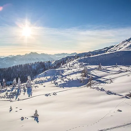 Haus Roswitha 게스트하우스 플라차우